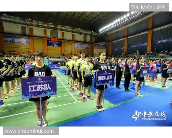 成都羽毛球队在精英赛中的实力展现与未来发展潜力分析